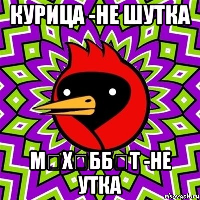 курица -не шутка мөхәббәт -не утка, Мем Омская птица