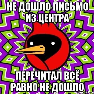 не дошло письмо из центра перечитал всё равно не дошло, Мем Омская птица