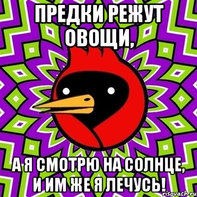 предки режут овощи, а я смотрю на солнце, и им же я лечусь!, Мем Омская птица