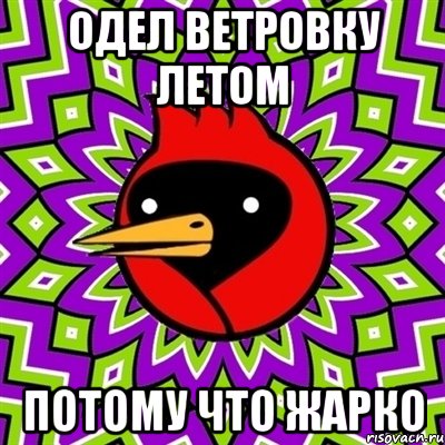 одел ветровку летом потому что жарко, Мем Омская птица