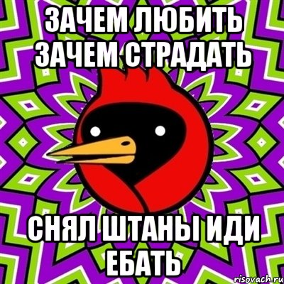 зачем любить зачем страдать снял штаны иди ебать, Мем Омская птица