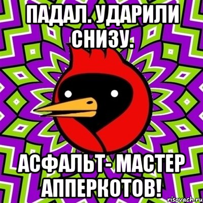 падал. ударили снизу. асфальт- мастер апперкотов!, Мем Омская птица