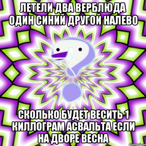 летели два верблюда один синий другой налево сколько будет весить 1 киллограм асвальта если на дворе весна, Мем Омская загадка