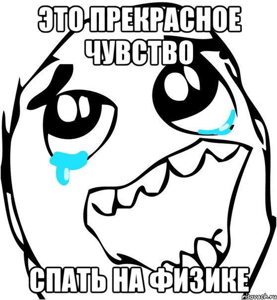 это прекрасное чувство спать на физике, Мем  Плачет от радости