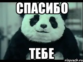 спасибо тебе