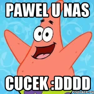 pawel u nas cucek :dddd, Мем Патрик