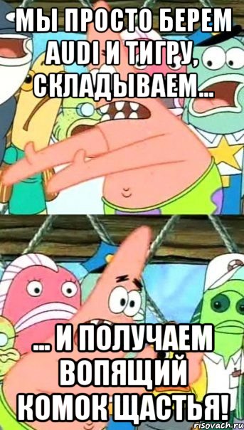 мы просто берем audi и тигру, складываем... ... и получаем вопящий комок щастья!, Мем Патрик (берешь и делаешь)