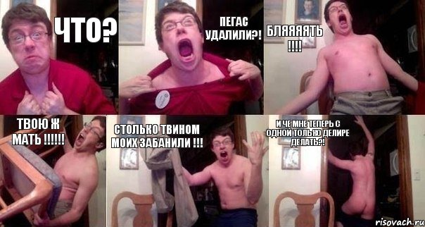 что? ПЕГАС УДАЛИЛИ?! БЛЯЯЯЯТЬ !!! ТВОЮ ж МАТЬ !!! СТОЛЬКО ТВИНОМ МОИХ ЗАБАНИЛИ !!! И ЧЕ МНЕ ТЕПЕРЬ С ОДНОЙ только ДЕЛИРЕ ДЕЛАТЬ?!