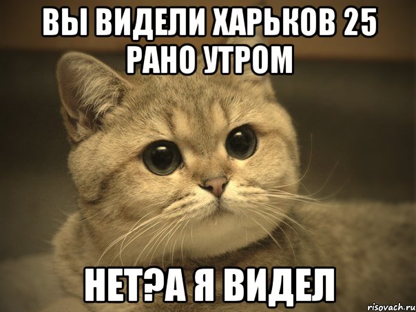 вы видели харьков 25 рано утром нет?а я видел, Мем Пидрила ебаная котик