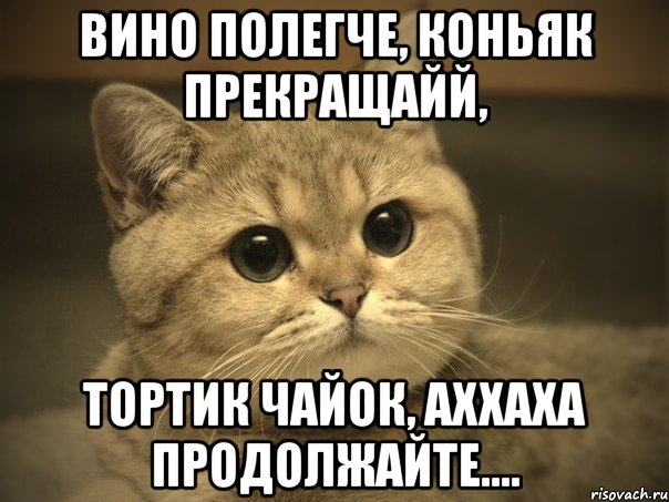 вино полегче, коньяк прекращайй, тортик чайок, аххаха продолжайте...., Мем Пидрила ебаная котик