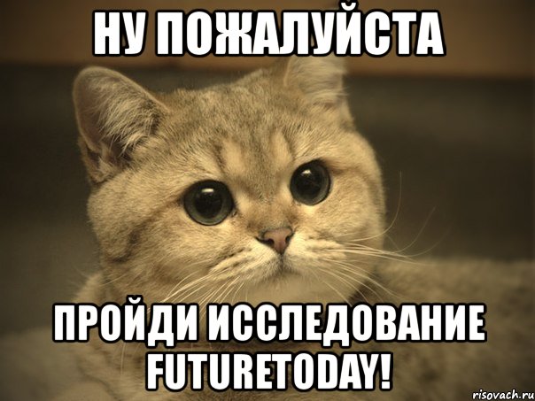 ну пожалуйста пройди исследование futuretoday!, Мем Пидрила ебаная котик