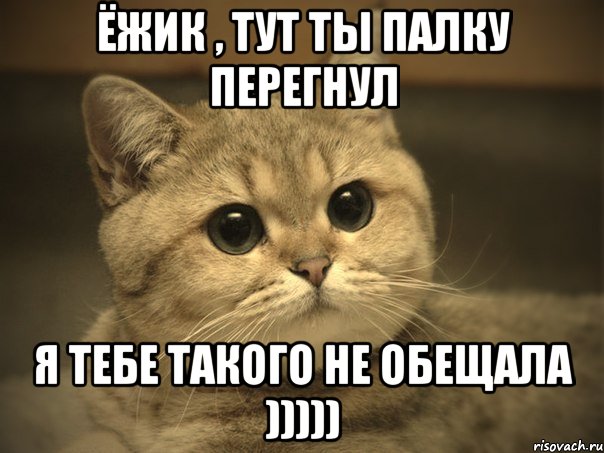 ёжик , тут ты палку перегнул я тебе такого не обещала ))))), Мем Пидрила ебаная котик