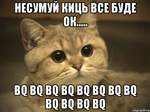 несумуй киць все буде ок..... bq bq bq bq bq bq bq bq bq bq bq bq, Мем Пидрила ебаная котик