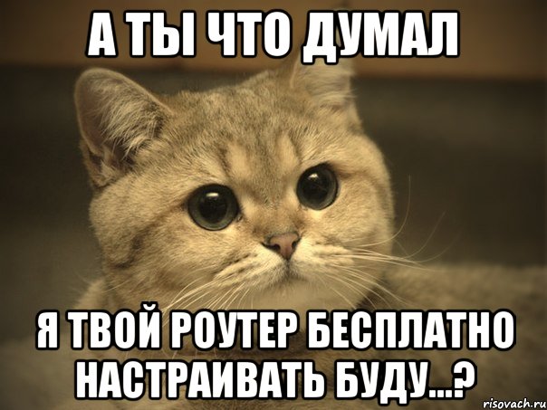 а ты что думал я твой роутер бесплатно настраивать буду...?, Мем Пидрила ебаная котик