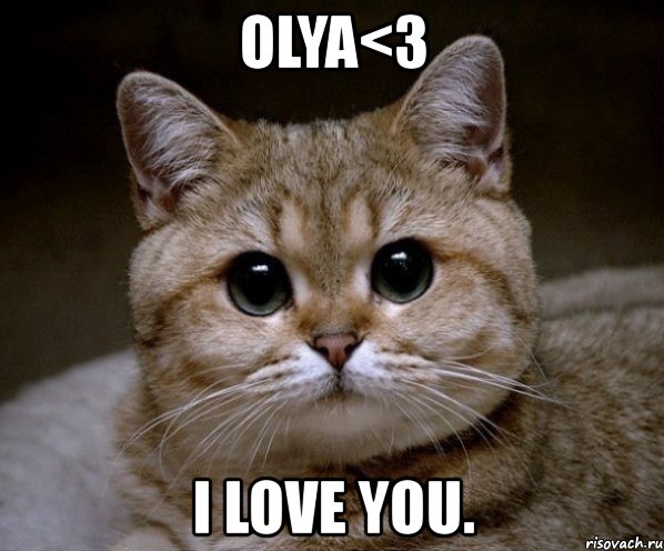 olya<3 i love you., Мем Пидрила Ебаная