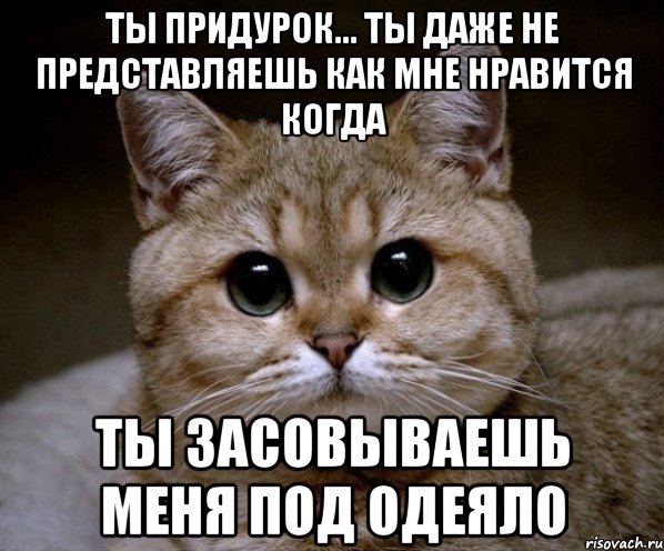 ты придурок... ты даже не представляешь как мне нравится когда ты засовываешь меня под одеяло, Мем Пидрила Ебаная