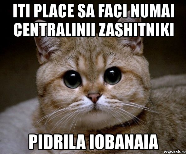 iti place sa faci numai centralinii zashitniki pidrila iobanaia, Мем Пидрила Ебаная