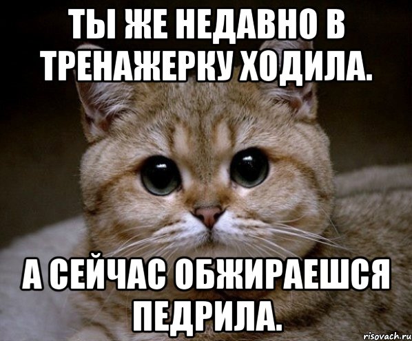 ты же недавно в тренажерку ходила. а сейчас обжираешся педрила., Мем Пидрила Ебаная