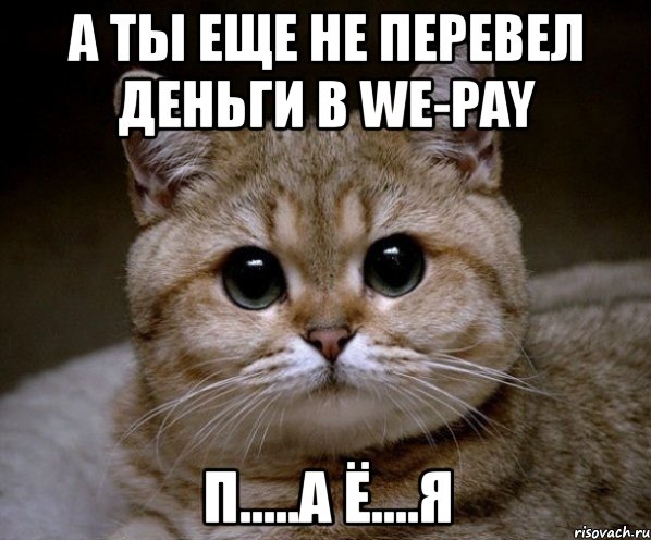 а ты еще не перевел деньги в we-pay п.....а ё....я, Мем Пидрила Ебаная