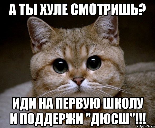 а ты хуле смотришь? иди на первую школу и поддержи "дюсш"!!!, Мем Пидрила Ебаная