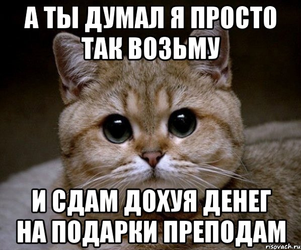 а ты думал я просто так возьму и сдам дохуя денег на подарки преподам, Мем Пидрила Ебаная