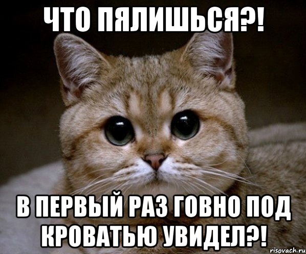 что пялишься?! в первый раз говно под кроватью увидел?!, Мем Пидрила Ебаная