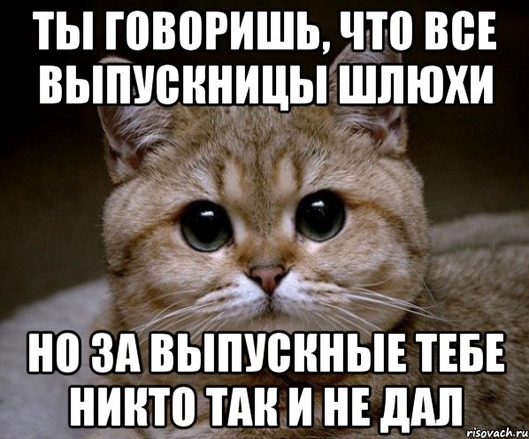 ты говоришь, что все выпускницы шлюхи но за выпускные тебе никто так и не дал, Мем Пидрила Ебаная