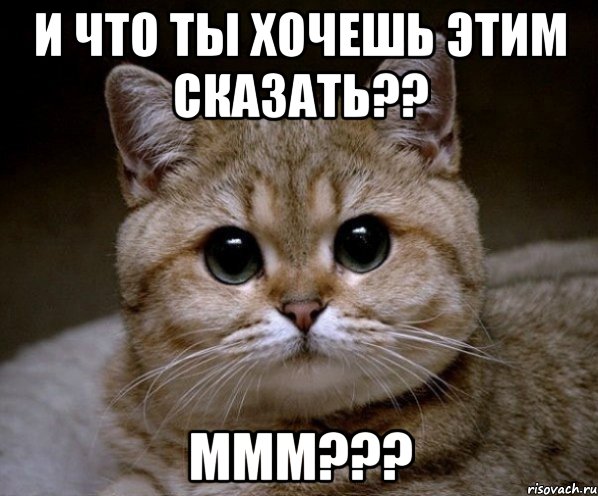 и что ты хочешь этим сказать?? ммм???, Мем Пидрила Ебаная