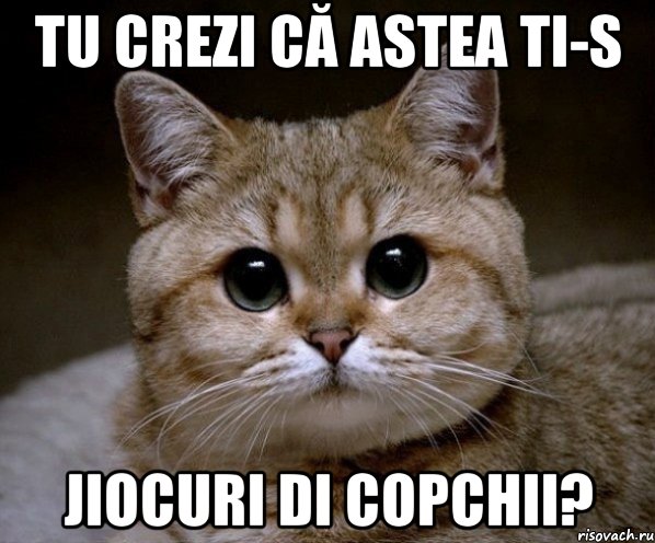 tu crezi că astea ti-s jiocuri di copchii?, Мем Пидрила Ебаная