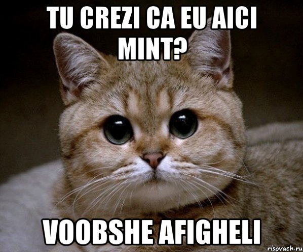 tu crezi ca eu aici mint? voobshe afigheli, Мем Пидрила Ебаная