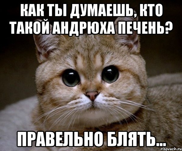 как ты думаешь, кто такой андрюха печень? правельно блять..., Мем Пидрила Ебаная