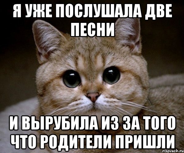 я уже послушала две песни и вырубила из за того что родители пришли, Мем Пидрила Ебаная