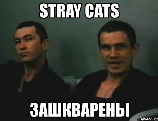 stray cats зашкварены, Мем пистон