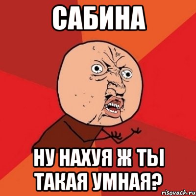 сабина ну нахуя ж ты такая умная?, Мем Почему