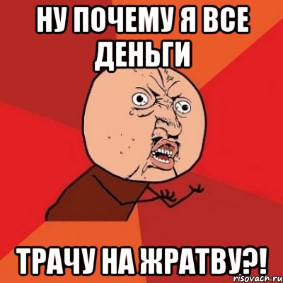 ну почему я все деньги трачу на жратву?!