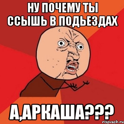 ну почему ты ссышь в подьездах а,аркаша???, Мем Почему