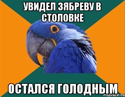 увидел зябреву в столовке остался голодным, Мем Попугай параноик