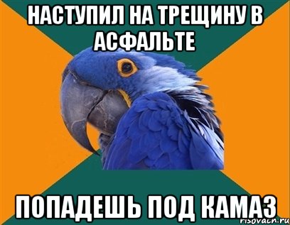 наступил на трещину в асфальте попадешь под камаз, Мем Попугай параноик