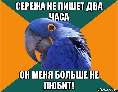 сережа не пишет два часа он меня больше не любит!, Мем Попугай параноик