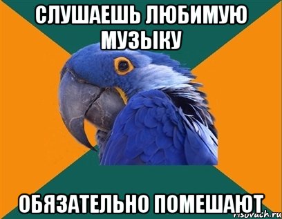 слушаешь любимую музыку обязательно помешают, Мем Попугай параноик