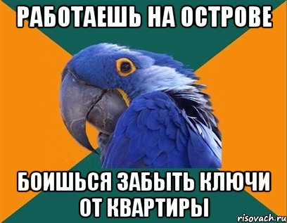 работаешь на острове боишься забыть ключи от квартиры, Мем Попугай параноик