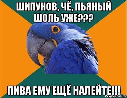 шипунов, чё, пьяный шоль уже??? пива ему ещё налейте!!!, Мем Попугай параноик