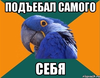 подъебал самого себя