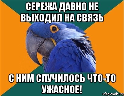 сережа давно не выходил на связь с ним случилось что-то ужасное!, Мем Попугай параноик