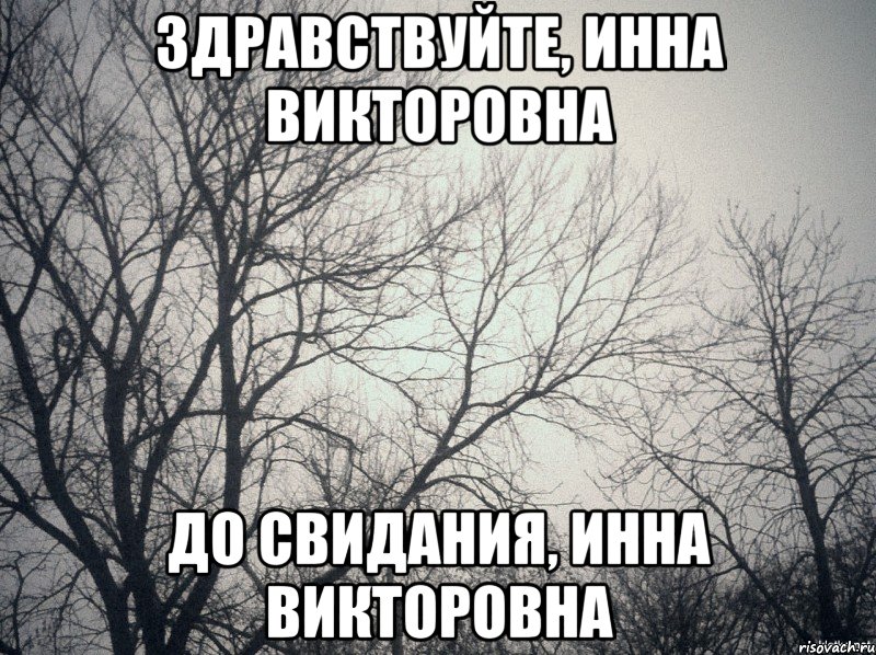 здравствуйте, инна викторовна до свидания, инна викторовна, Мем  будет весело говорили они