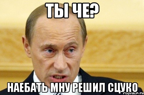 ты че? наебать мну решил сцуко, Мем путин