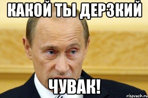 какой ты дерзкий чувак!, Мем путин