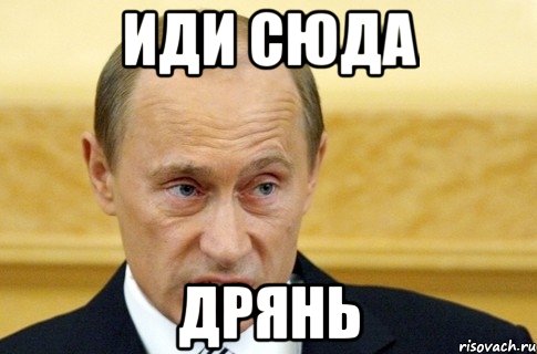 иди сюда дрянь, Мем путин