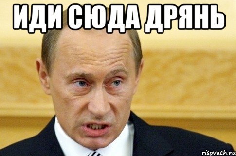 иди сюда дрянь , Мем путин