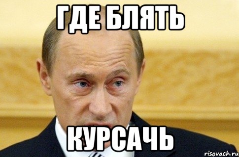 где блять курсачь, Мем путин